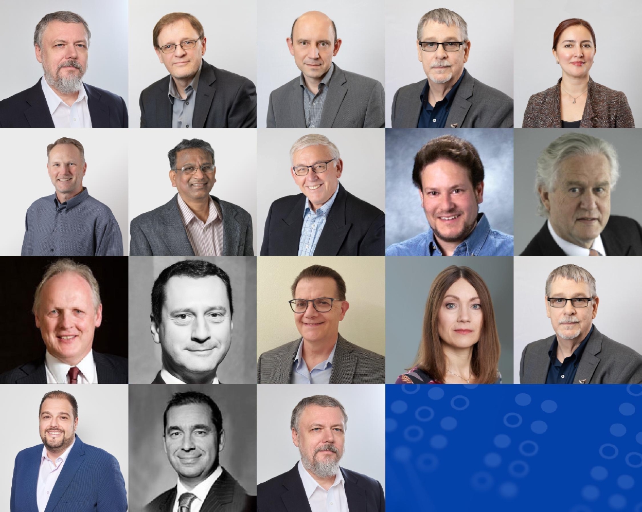 Meet the Team