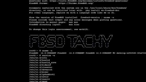 Watch a video demonstration of FreeBSD running on Prodigy